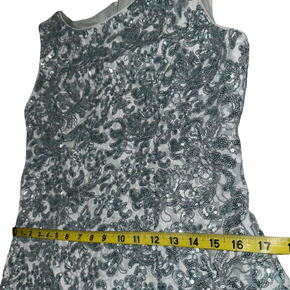 Alex Evenings Sleeveless Corded Fit Ice Sage Lace & Sequin-Detail Gown Sz 8 - Picture 10 of 16